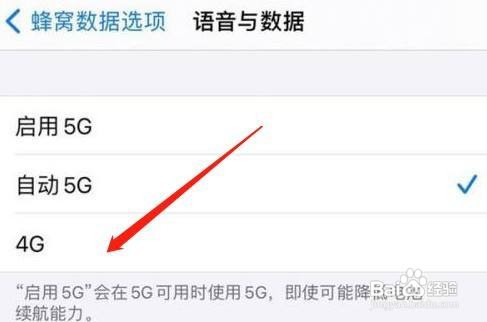 iphone12的5g网络怎样关闭