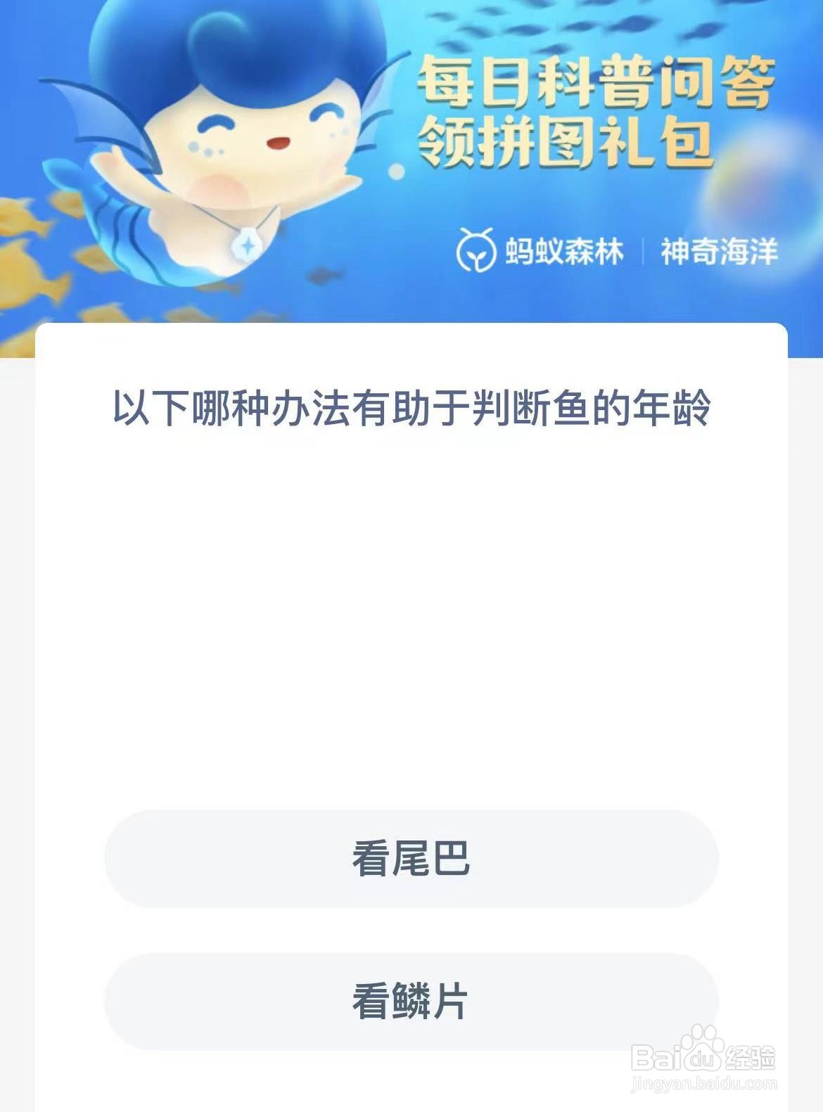 以下哪种办法有助于判断鱼的年龄 神奇海洋