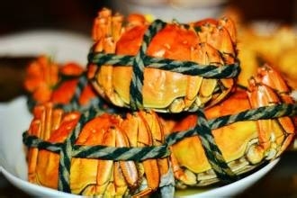 东营旅游的好地方