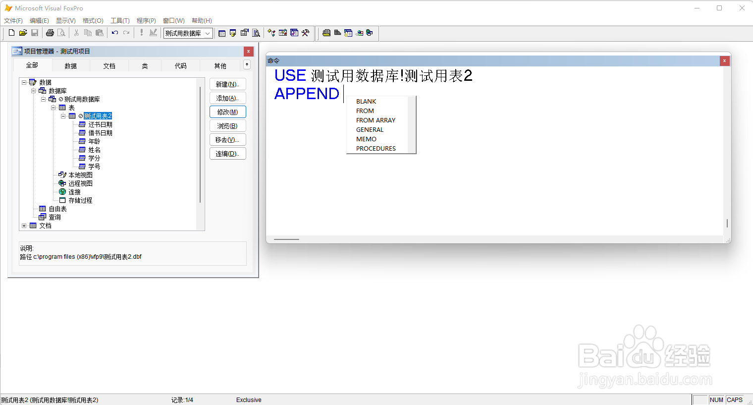 VF9.0 使用命令向表追加记录