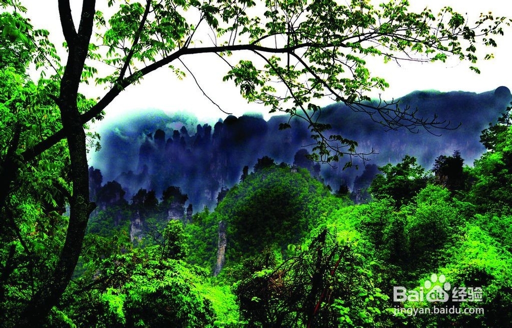 珠海到张家界旅游攻略