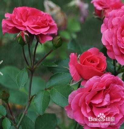 让你一生难忘的话 3