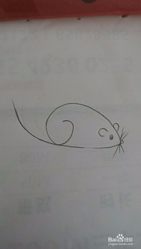 多妈简笔画最简单的老鼠画法