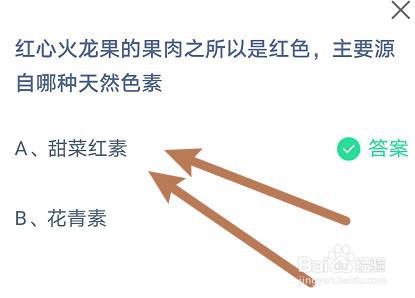 红心火龙果的红色果肉,主要源自哪种天然色素