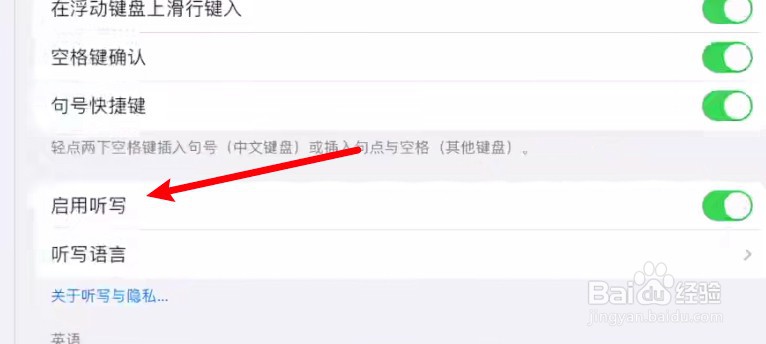 iPad怎么设置启用听写功能