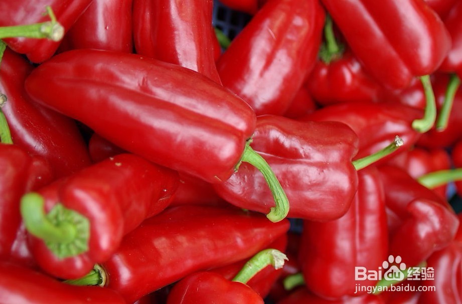 怎么腌制豆角？