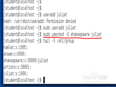 linux系统怎么使用命令行工具管理组