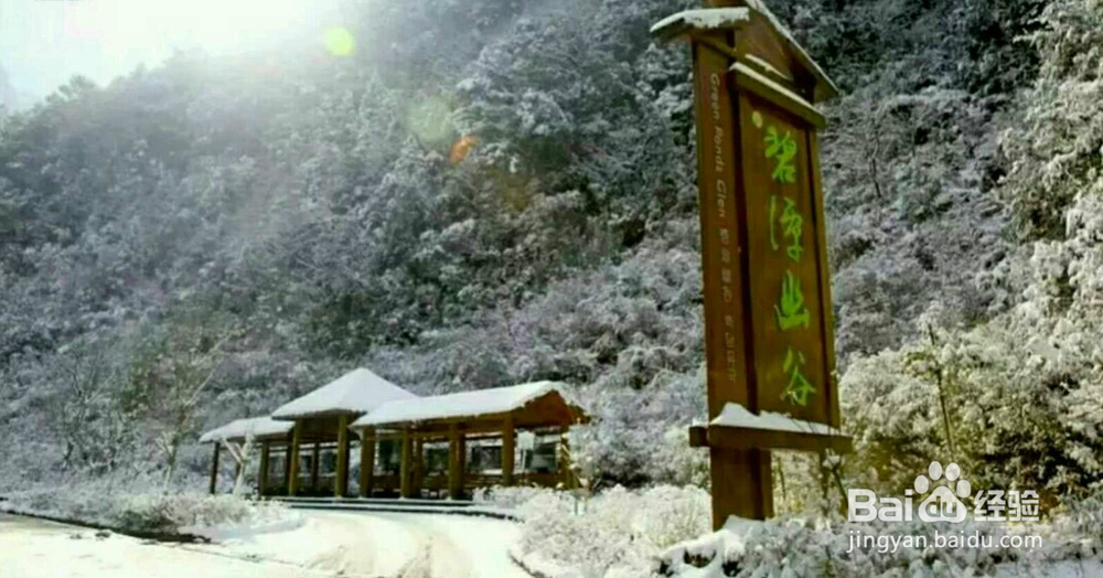 重庆大雪纷飞的金佛山风景区, 你去旅游过吗?