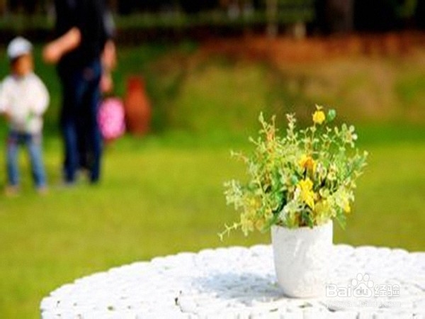 清明扫墓，环保出游