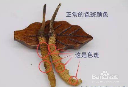 冬虫夏草怎么食用 冬虫夏草的吃法技巧