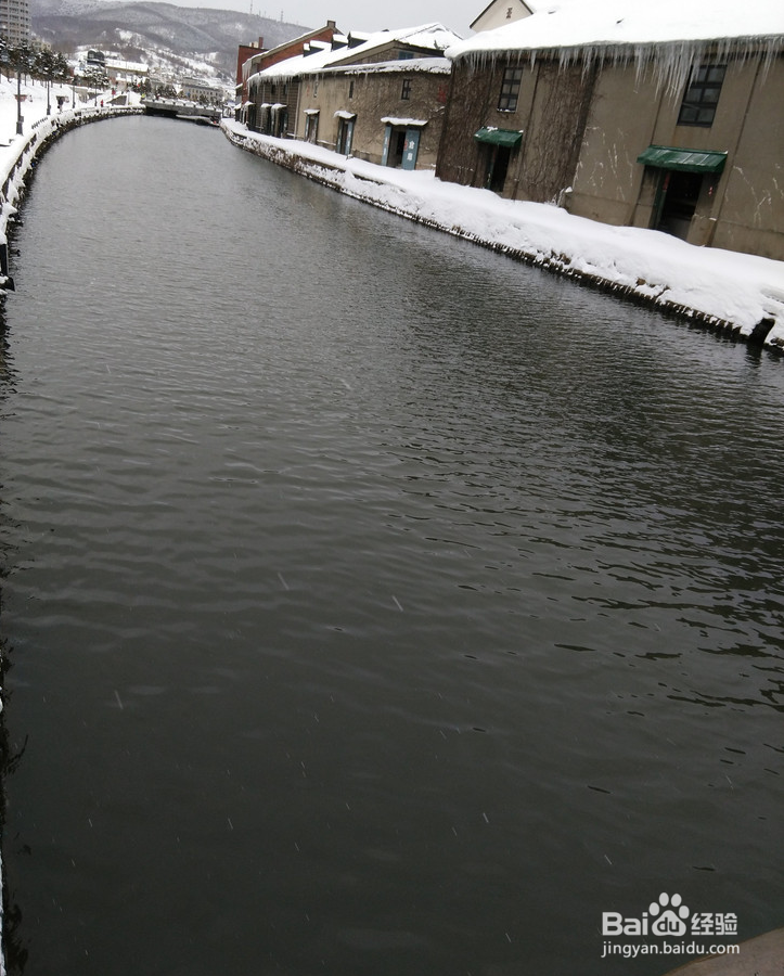 一条性价比爆棚的万元以下日本北海道观雪路线