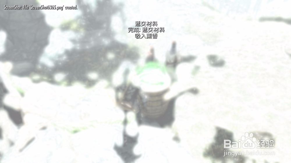 上古卷轴5唯一的治疗方式任务