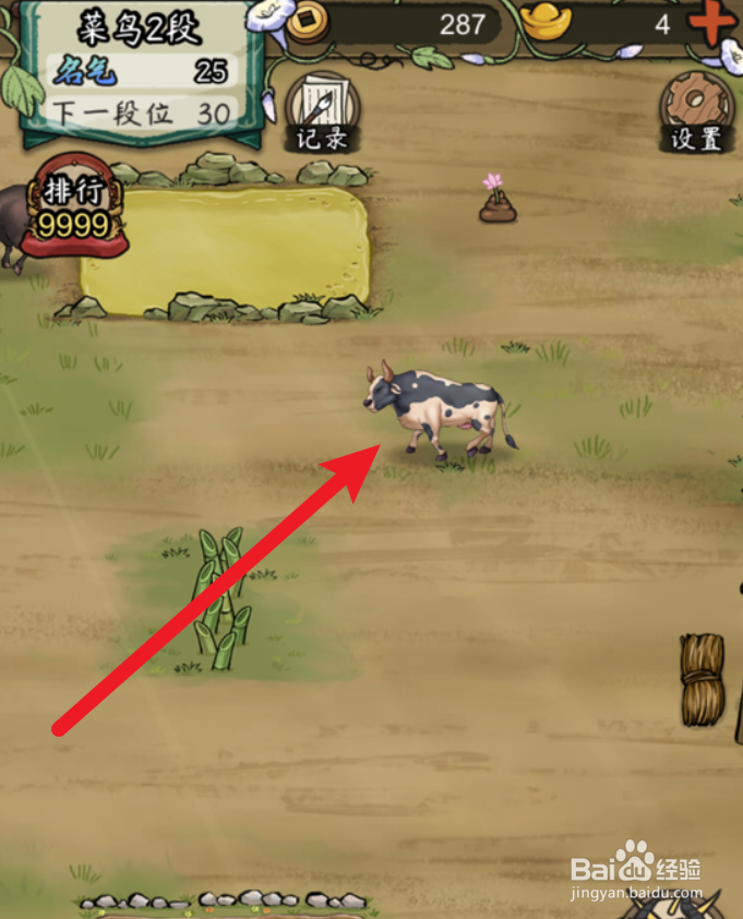 叫我养牛王怎么放生奶牛