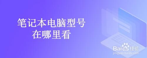 笔记本电脑型号在哪里看