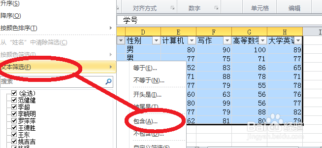 2010Excel技巧大全数据的自定义筛选