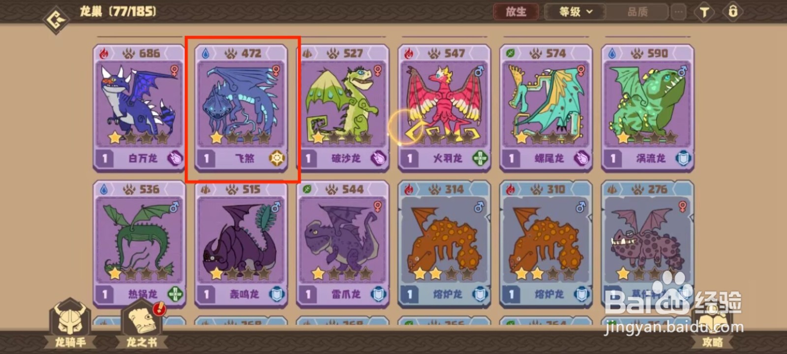 驯龙高手旅程飞煞如何穿戴装备？