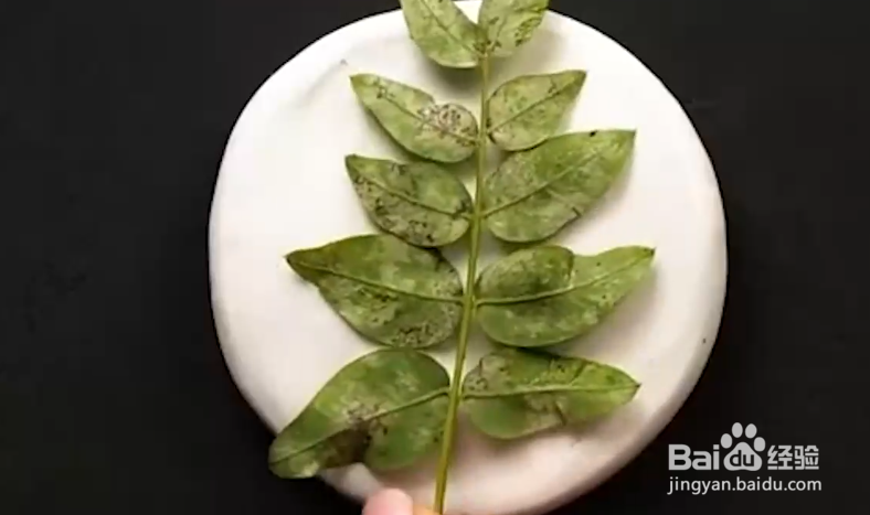 如何制作好看的手工