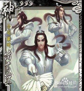 诸葛瑾身份适应性