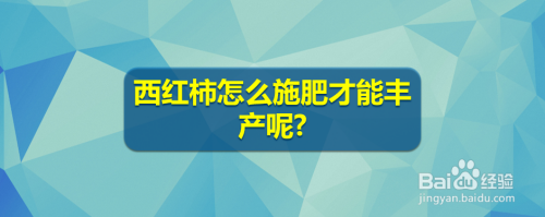 西红柿怎么施肥才能丰产呢?