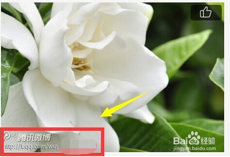 腾讯微博如何安排水印位置