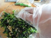 自制凉拌菠菜的做法