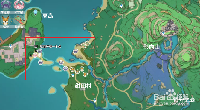 原神小动物分布位置大全