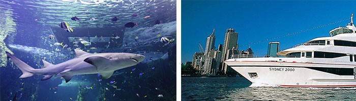 澳洲静心度假之旅之慢节奏