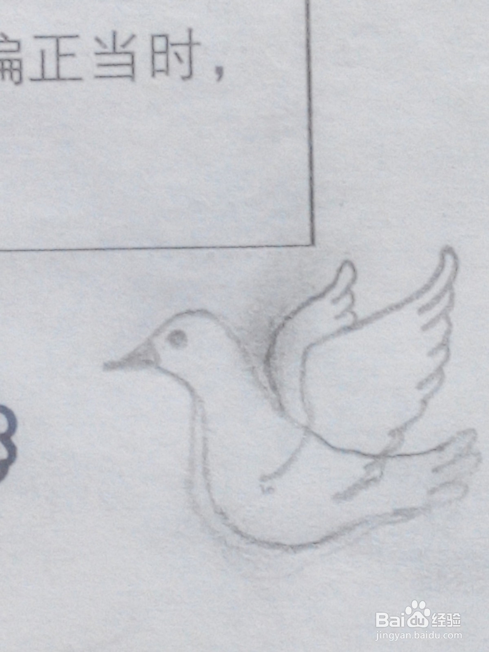 和平鸽怎么画呢14