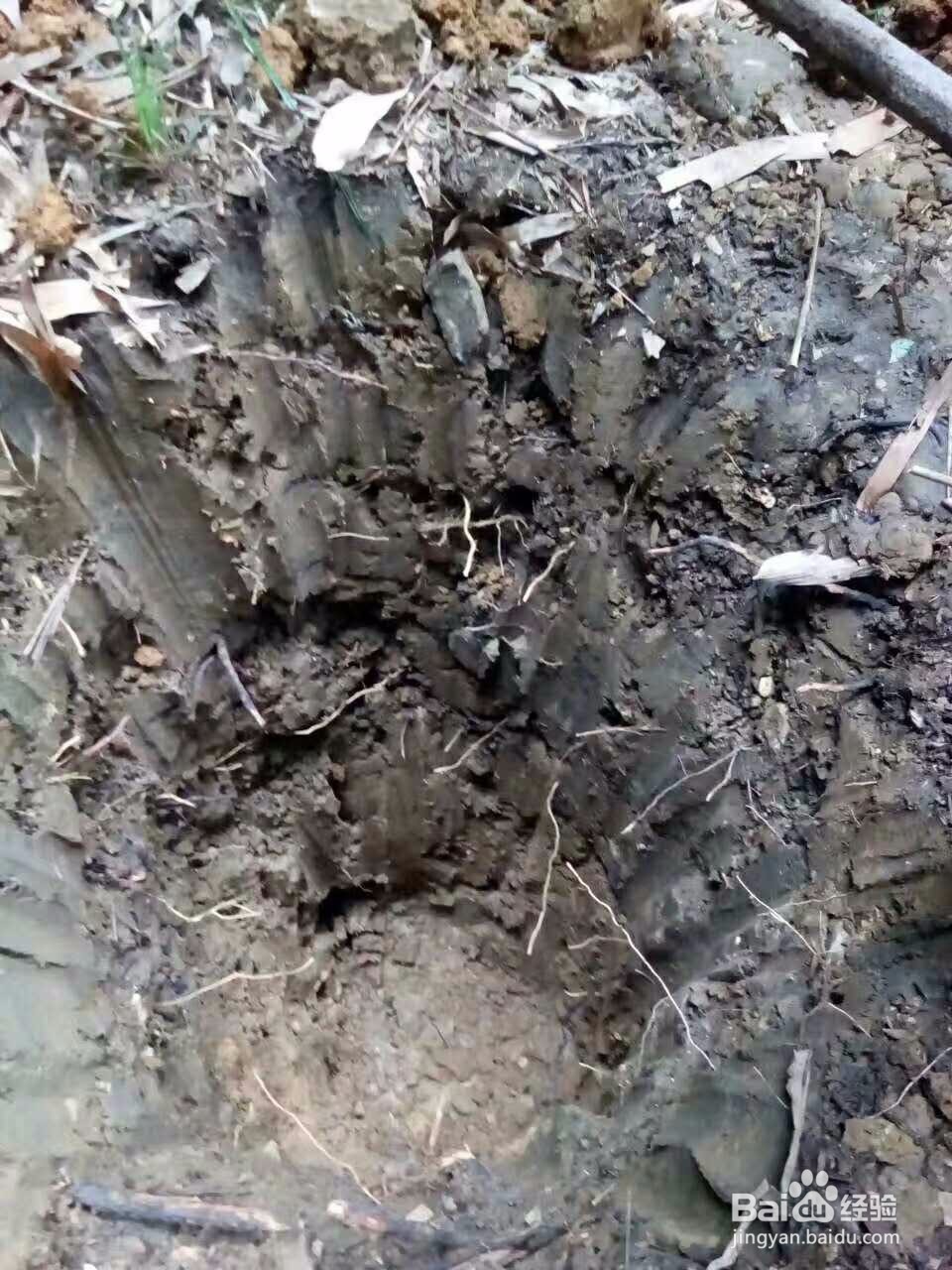 白酒的储存方法有哪些?