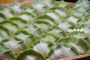 健康养生佳品白菜饺子