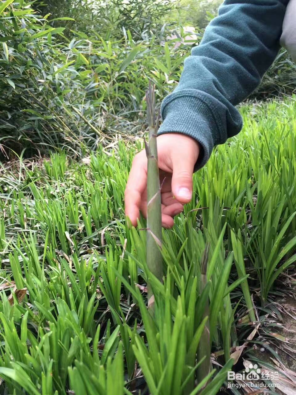 如何吃到最新鲜的时令铜火锅