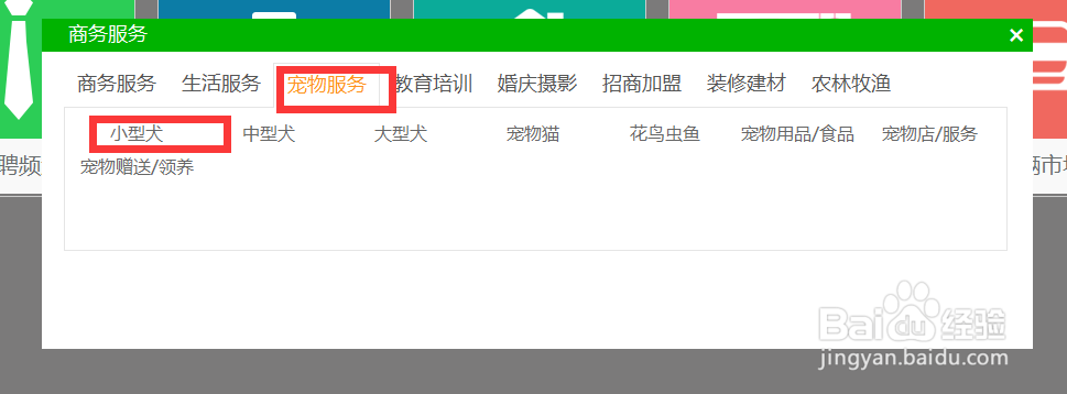 如何在南极圈信息网发布宠物信息？