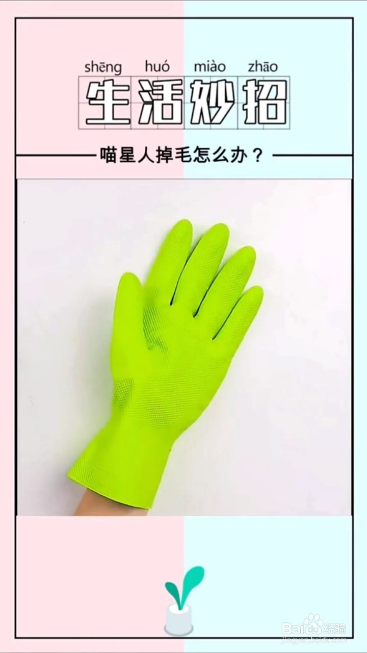 如何自制撸猫神器