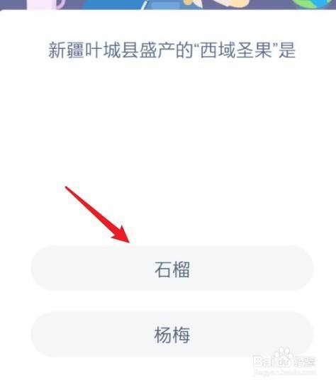 新疆叶城县盛产的“西域圣果”是蚂蚁新村答案
