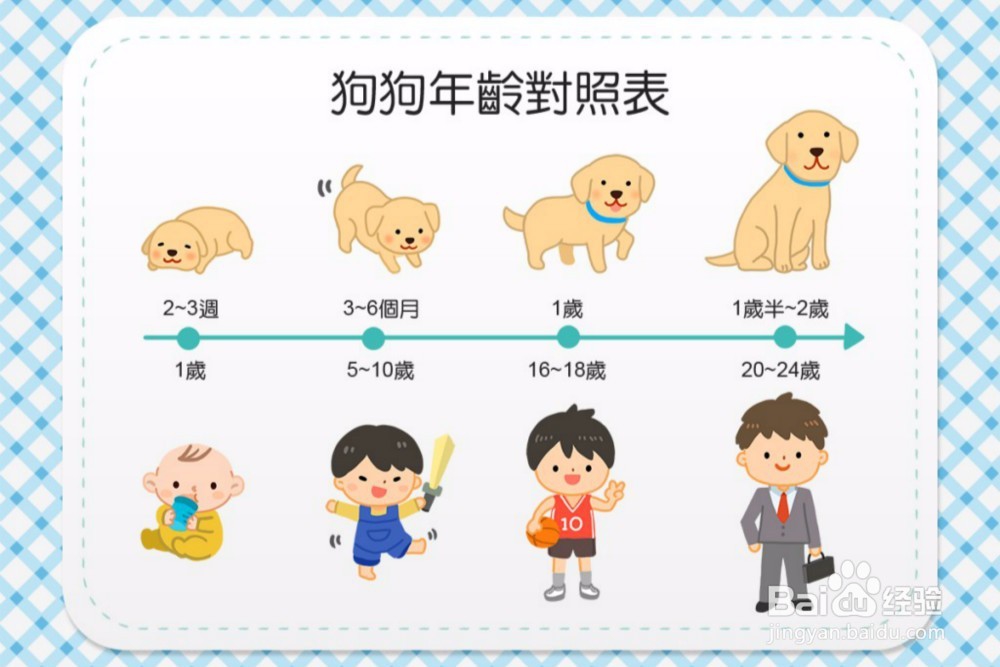怎样训练狗狗上厕所？（5种方法）