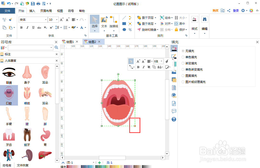 如何在亿图图示中创建口腔图
