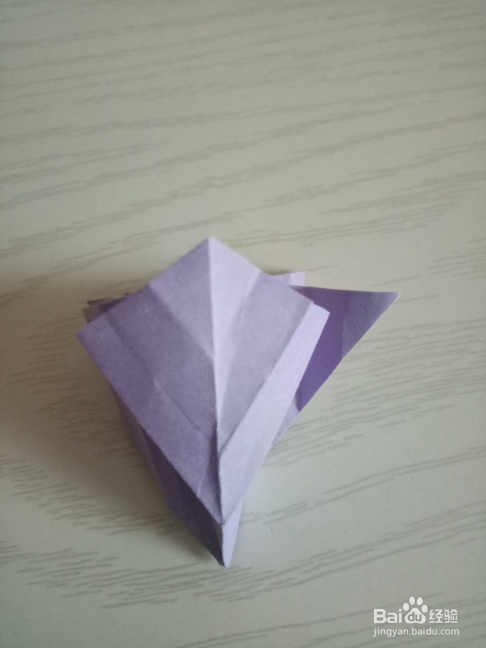 牵牛花折叠方法 下