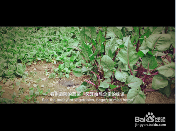 足记怎么用 小编教你足记App电影照片制作教程