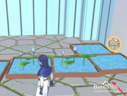 创造与魔法古琴位置