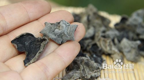 教您识别东北黑木耳