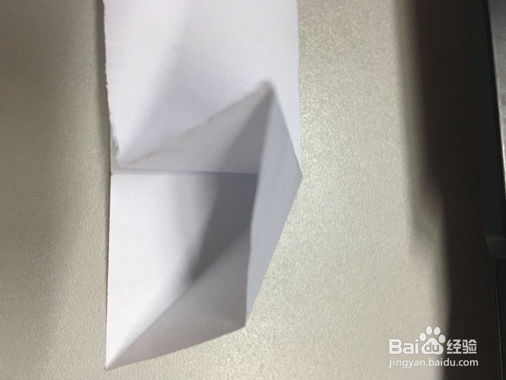 小萌物－－兔兔