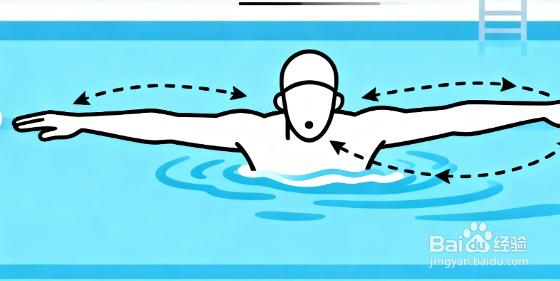 蛙泳入门教程：从零基础到熟练掌握的 5 个步骤
