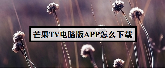芒果TV电脑版APP怎么下载
