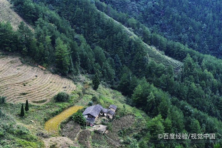 为什么冬眠的动物可以不吃不喝