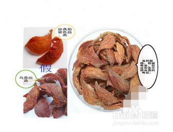 真假血燕有何不同 真假血燕鉴别有五招