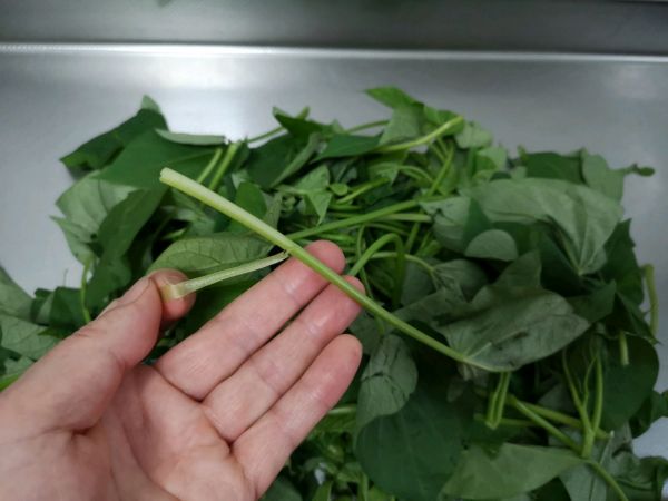 嫩绿蒜蓉地瓜叶