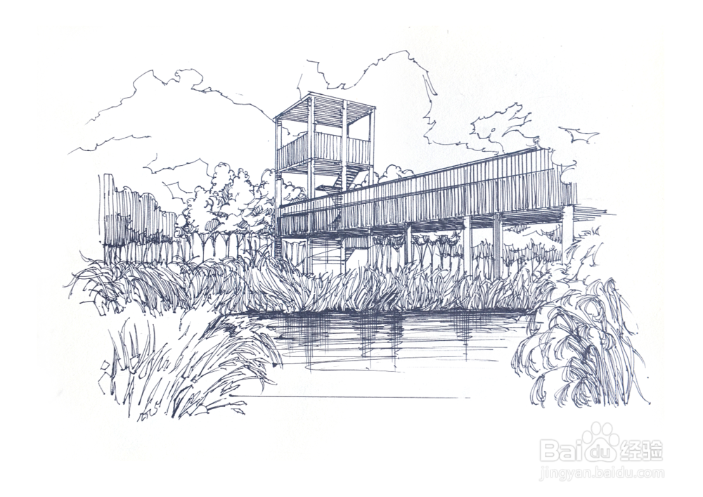 初学者怎么学好画素描？