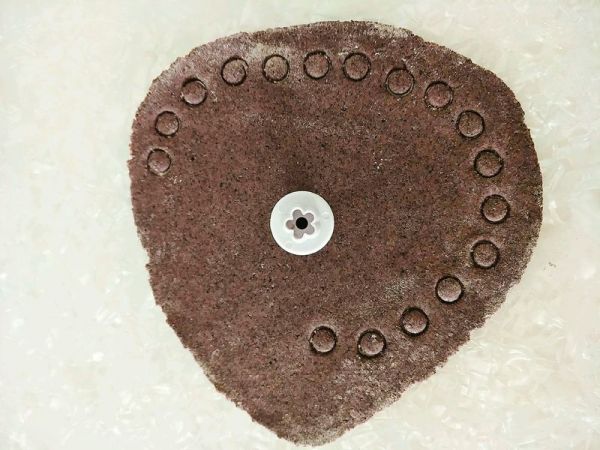 拳击小鸡南瓜馒头