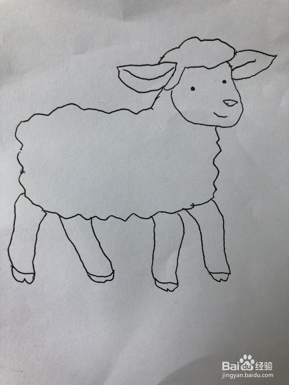 小羊的简笔画