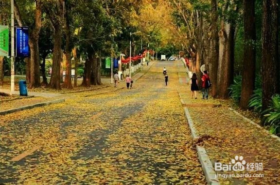 【校园指南】海南大学——建筑分布一篇